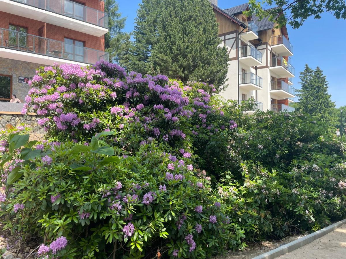 Apartament N&B Szklarska Poręba Zewnętrze zdjęcie